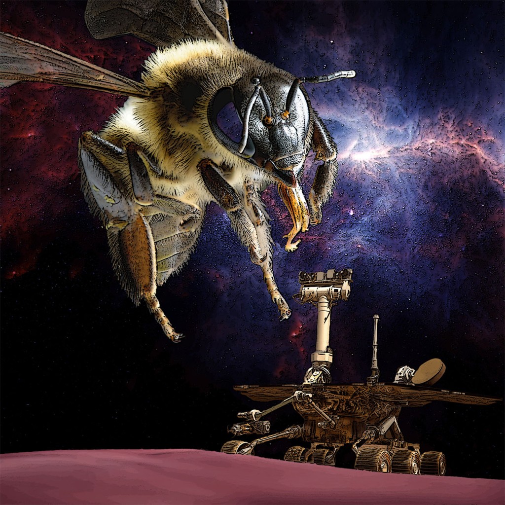 Giant Moon Mason Bee observes moon rover.